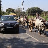 Ochsenkarren sollte man mit Vorsicht überholen