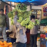 Auf den Märkten werden die Bananen geschultert
