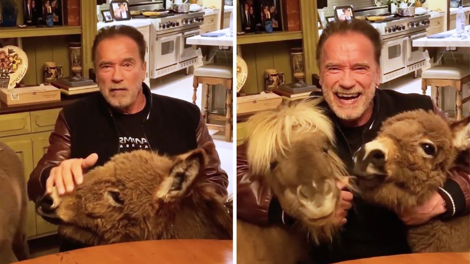 Arnold Schwarzenegger macht sich für Maßnahmen zur Eindämmung des Coronavirus stark. Arnold Schwarzenegger macht sich für Maßnahmen zur Eindämmung des Coronavirus stark.