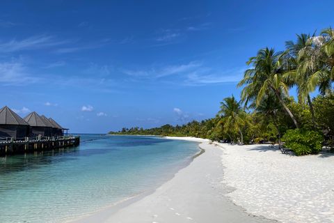 Blick einen weißen Strand hinunter. Rechts stehen Palmen, links stehen Hütten auf Pfählen im blauen Wasser