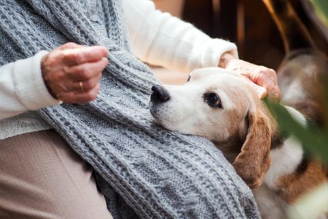 Eine Frau streichelt ihren Hund