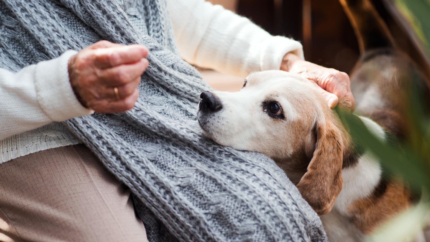 Eine Frau streichelt ihren Hund