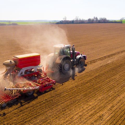 Landwirtschaft