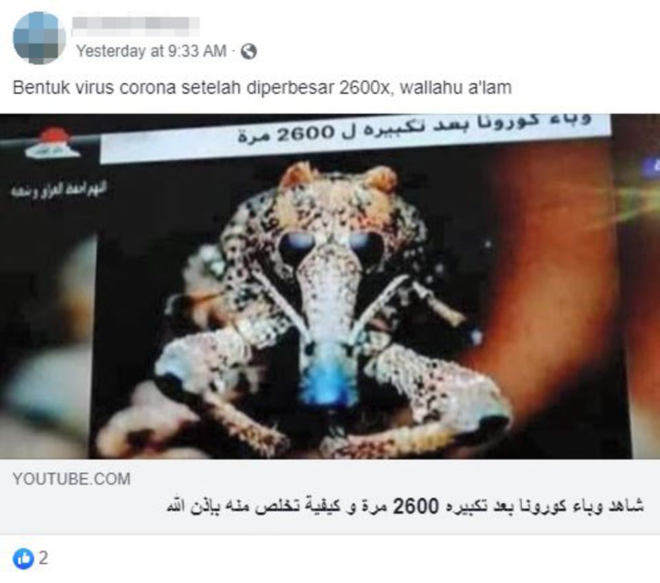 corona fakes - virus in großaufnahme corona fakes - virus in großaufnahme