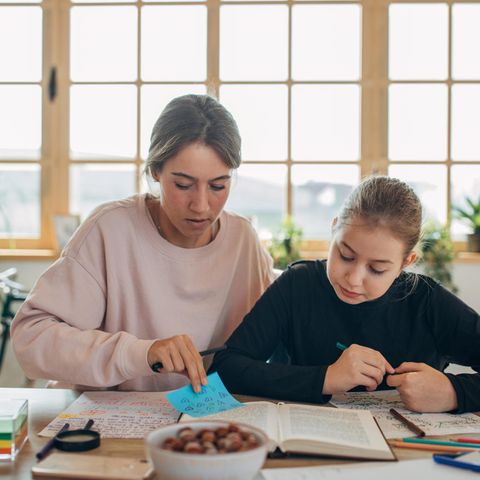 Homeschooling