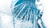 Tauschen Sie alte Duschköpfe aus  Wasser sparen kann man schon mit dem richtigen Duschkopf. Tauschen Sie ihren alten Duschkopf gegen eine Sparbrause aus. Das Duscherlebnis bleibt dasselbe, allerdings fließen dank neuer Dosiersysteme nur etwa sechs Liter Wasser pro Minute durch den sparsamen Brausekopf. Standard-Duschköpfe verbrauchen zwölf Litern oder mehr. Nebeneffekt: Die Wassersparbrausen verkalken nicht so schnell.
