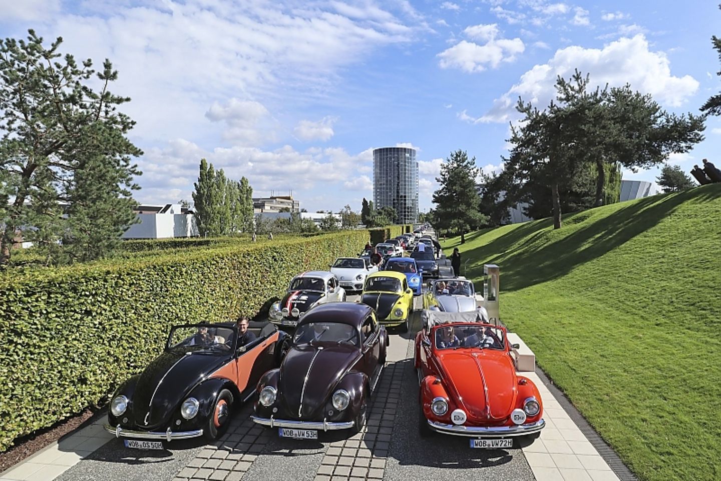 VW Käfer