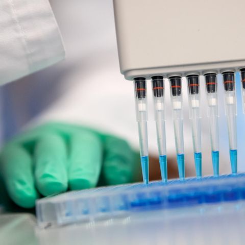 Damit man nach einer Coronavirus-Infektion als geheilt eingestuft wird, sind zwei negative Tests notwendig (Symbolbild)