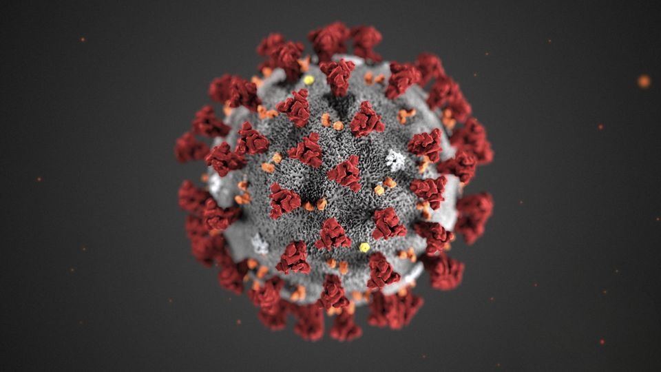 Coronavirus Sars-CoV-2: Eine Abbildung des Erregers
