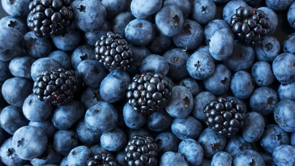 Regionales Superfood: Die kleinen Beeren enthalten viel mehr wertvolle Nährstoffe, als ihre Größe vermuten lässt Regionales Superfood: Die kleinen Beeren enthalten viel mehr wertvolle Nährstoffe, als ihre Größe vermuten lässt