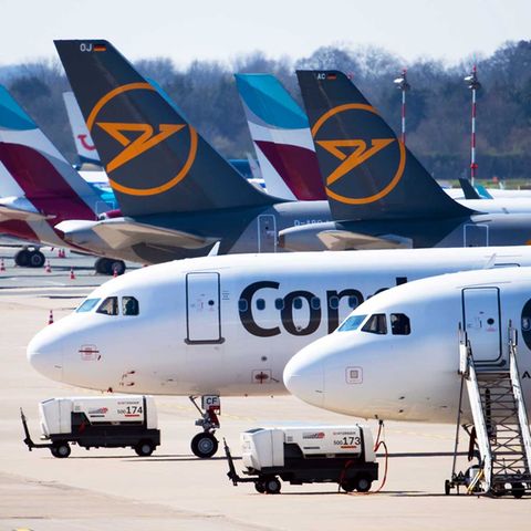 Zahlreiche Flugzeuge von Condor und Eurowings stehen auf dem Vorfeld des Flughafens Düsseldorf geparkt.