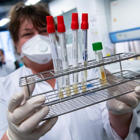 Laborant mit Reagenzgläsern in der Hand