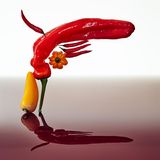 „A Gun"  aus der Ausstellung „Apolakypse" von Josef Fischnaller