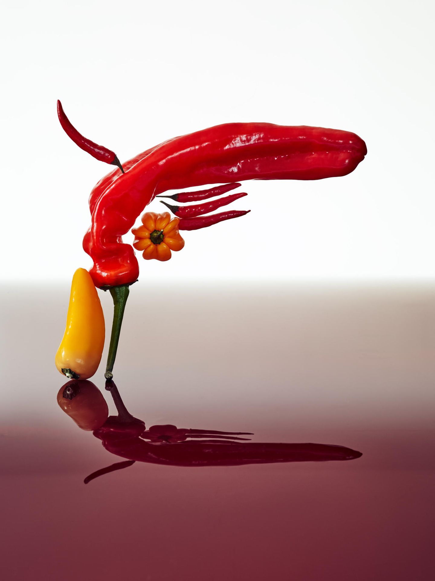 „A Gun"  aus der Ausstellung „Apolakypse" von Josef Fischnaller