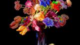 Kunst und Krise: „Crazy Flowers" aus der Ausstellung „Apocalypse" in der Galerie Friedmann-Hahn
