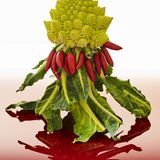 Kunst und Krise: „Manhattan Project" aus der Ausstellung „Apocalypse“ von Josef Fischnaller in der Galerie Friedmann-Hahn, Berlin