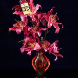 Kunst und Krise: „Offenbarung"  aus der Ausstellung „Apocalypse“ von Josef Fischnaller in der Galerie Friedmann-Hahn, Berlin