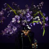 Kunst und Krise: „Purple Gladiator"aus der Ausstellung „Apocalypse“ von Josef Fischnaller in der Galerie Friedmann-Hahn, Berlin