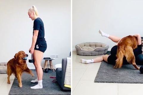 Hund macht Sportlerin das Training schwer