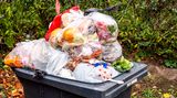 Biomüll ist ein Rohstoff