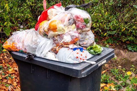 Biomüll ist ein Rohstoff