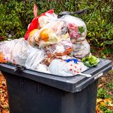 Biomüll ist ein Rohstoff