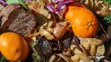 Zitrusfrüchte sind Biomüll