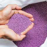 Biomüll kann auch zu Bio-Plastik werden