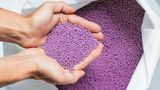 Biomüll kann auch zu Bio-Plastik werden