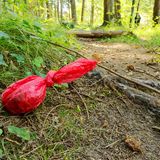 Hundekot in der Tüte gehört in den Restmüll