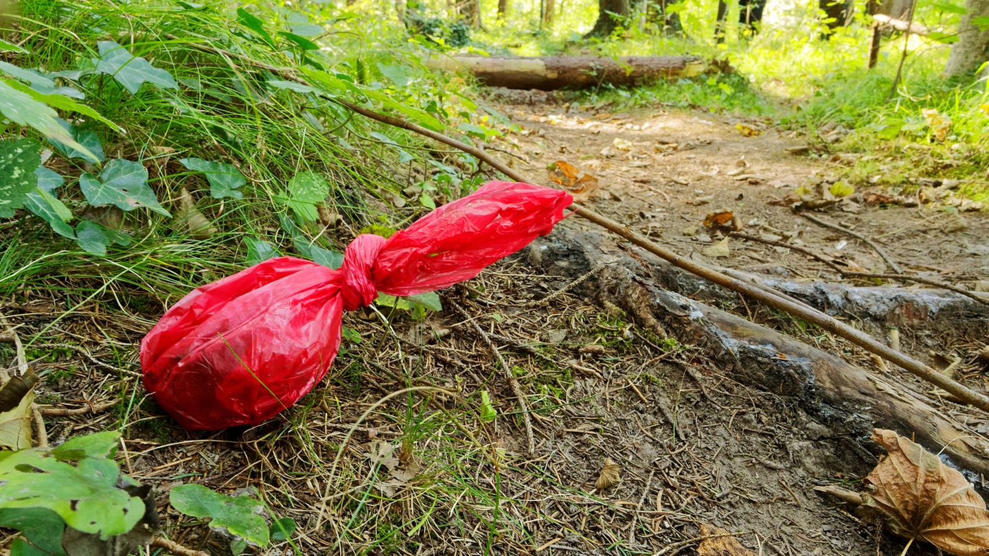 Hundekot in der Tüte gehört in den Restmüll
