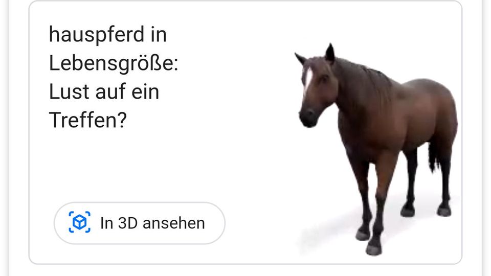 Pferd Google