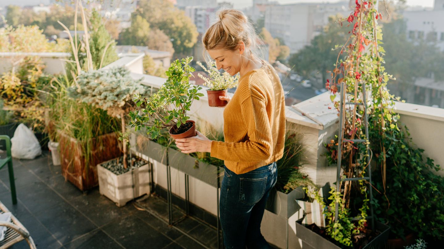 Balkon gestalten: Wir zeigen dir, wie du jeden Balkon optimal einrichten kannst