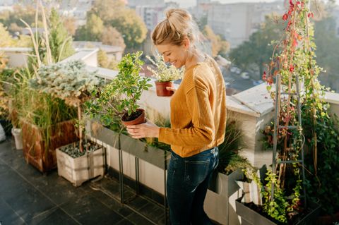 Balkon gestalten: Wir zeigen dir, wie du jeden Balkon optimal einrichten kannst