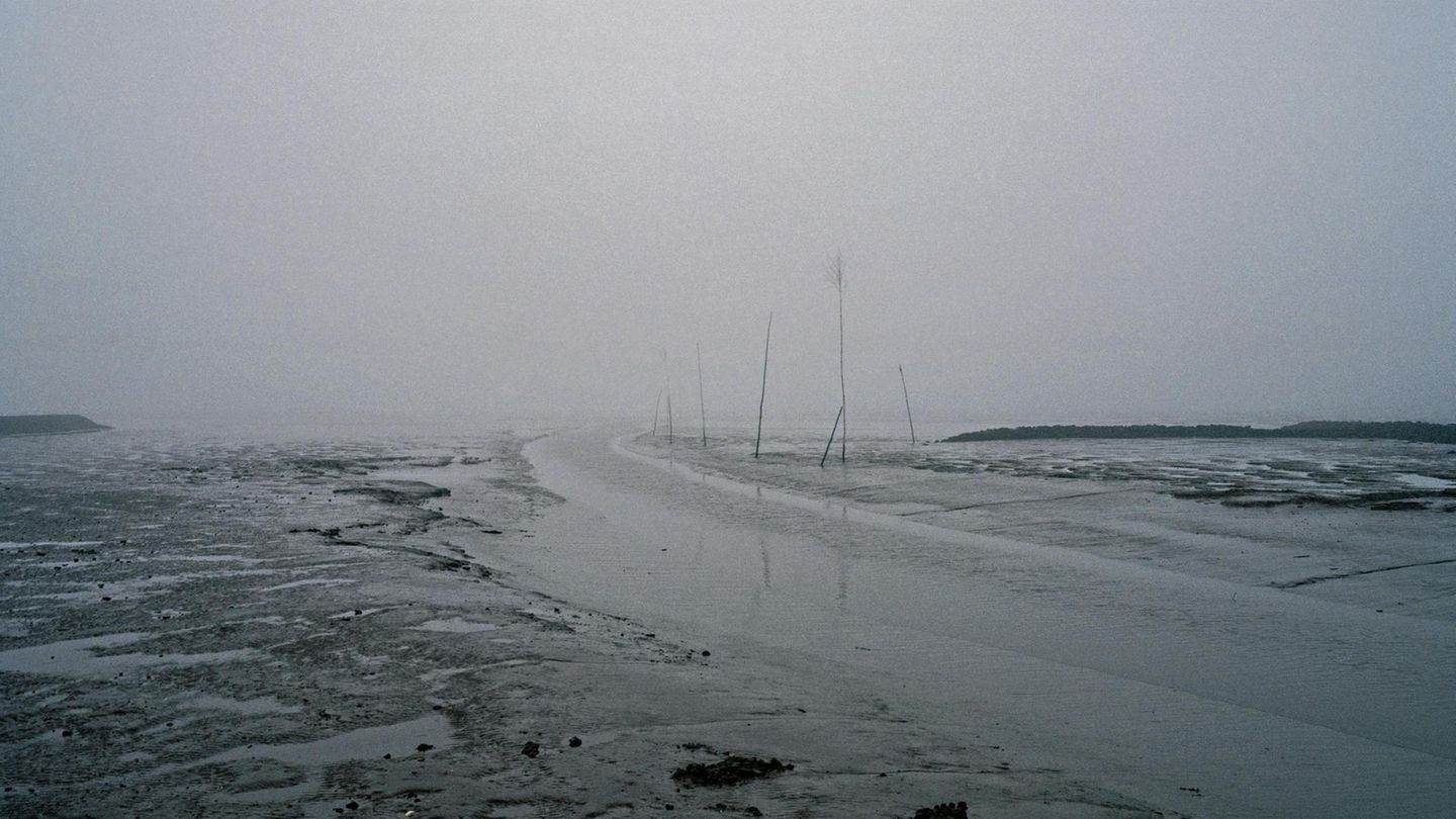 Priele sind als Fahrwasser fŸr die Schifffahrt im niedrigen Wattenmeer unentbehrlich. Durch die WasserlŠufe flie§t bei Ebbe das Wasser in die Nordsee ab und stršmt bei Flut wieder herein. ZusŠtzlich bieten sie einen Lebensraum fŸr beispielsweise die Nor... Ein Wattenmeer