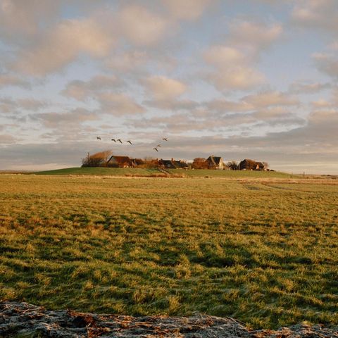 Oland