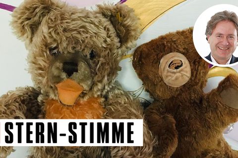 Teddys