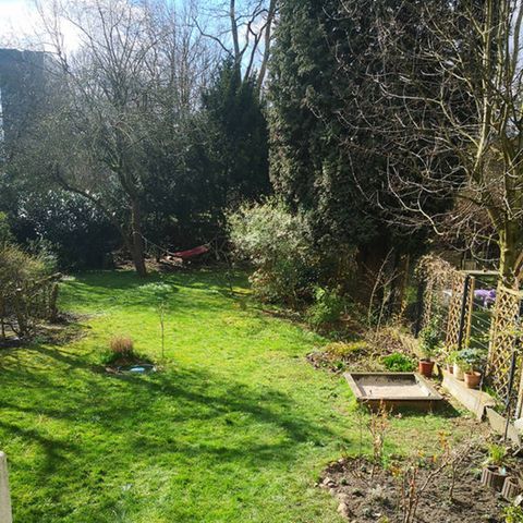 Der Garten von Jan-Paul in Hamburg