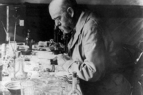 Robert Koch im Labor