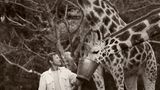 Peter Beard im Vorgarten seiner Ranch, er füttert Giraffen