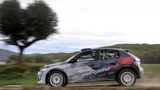Peugeot 208 Rally 4