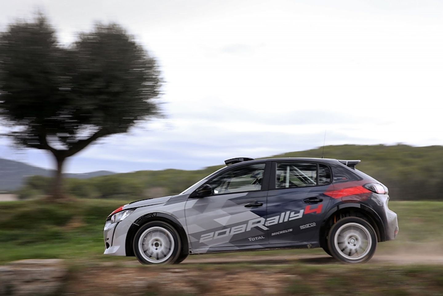 Peugeot 208 Rally 4