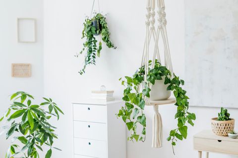 Die Makramee-Technik eignet sich für zahlreiche DIYs wie Wandteppiche oder Blumenampeln