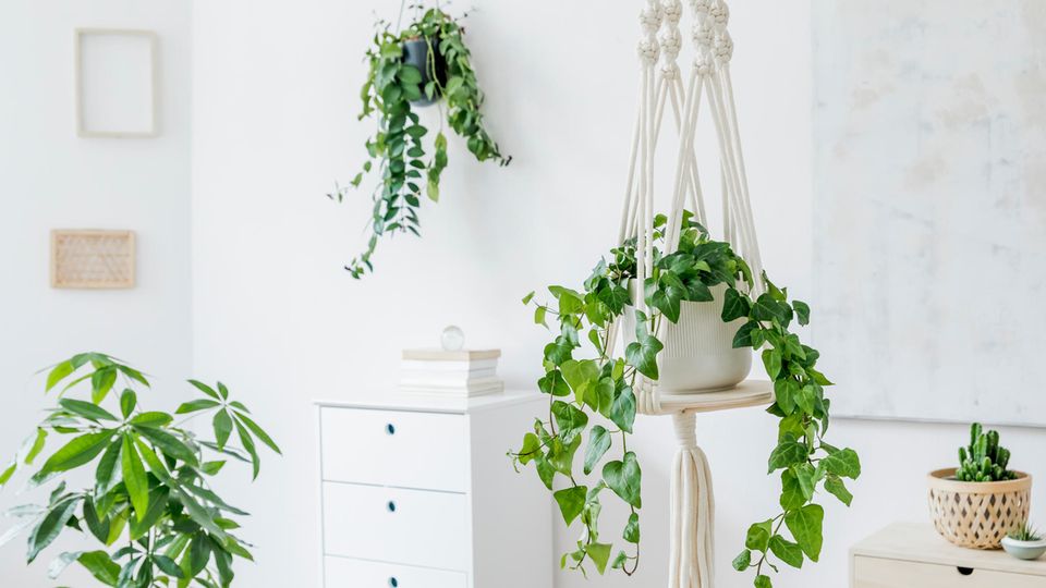 Die Makramee-Technik eignet sich für zahlreiche DIYs wie Wandteppiche oder Blumenampeln