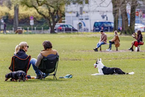 Menschen sitzen in einem Park an der Hamburger Außenalster auf der Wiese