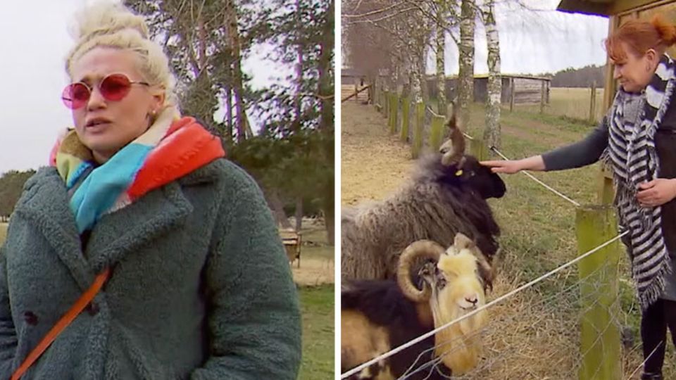 Sarah Knappik setzt sich in der Corona-Krise für Tiere in Not ein