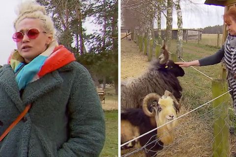 Sarah Knappik setzt sich in der Corona-Krise für Tiere in Not ein