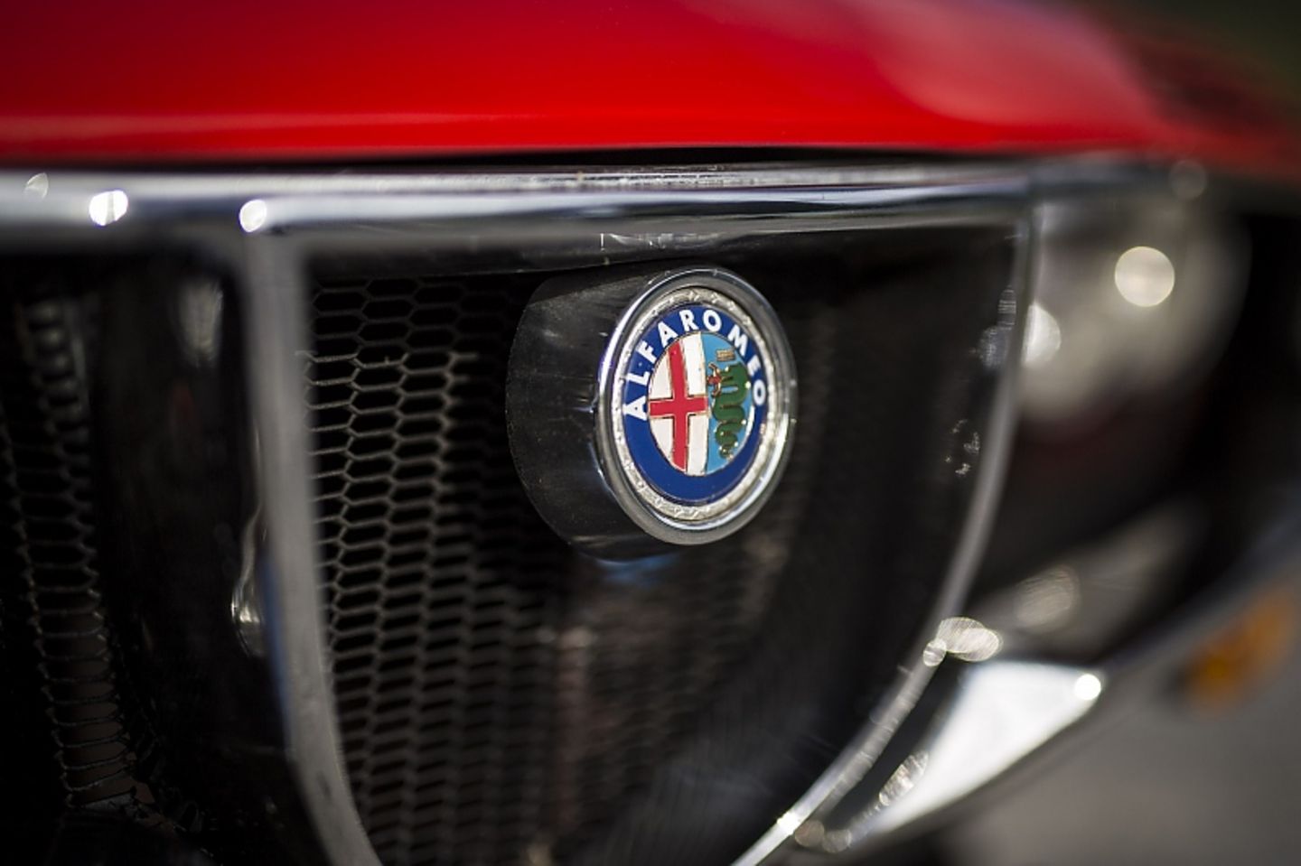 Das Scudetto mit dem Alfa-Wappen darf nicht fehlen