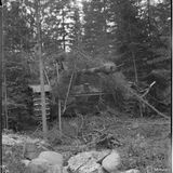 Wegen der schwachen Seitenpanzerung war das Stug III auf eine gute Stellung angewiesen.