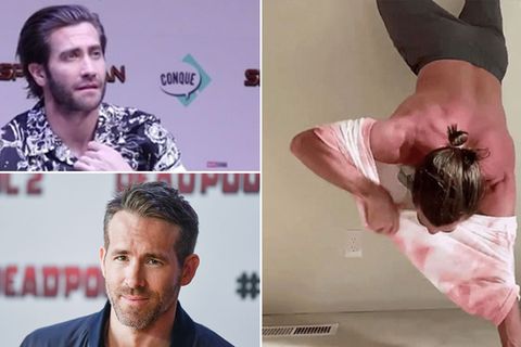 Schauspieler Hollands, Gyllenhaal, Reynolds